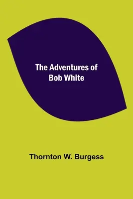 Aventurile lui Bob White - The Adventures of Bob White