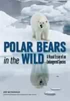Urșii polari în sălbăticie: un eseu vizual despre o specie pe cale de dispariție - Polar Bears in the Wild: A Visual Essay of an Endangered Species