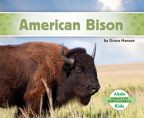 Bizonul american - American Bison
