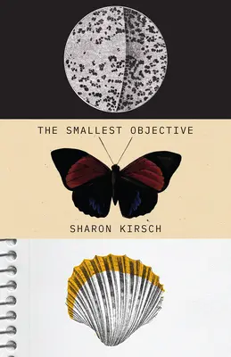 Cel mai mic obiectiv - The Smallest Objective