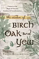 Înțelepciunea mesteacănului, stejarului și teiului: Conectați-vă la magia copacilor pentru ghidare și transformare - The Wisdom of Birch, Oak, and Yew: Connect to the Magic of Trees for Guidance & Transformation