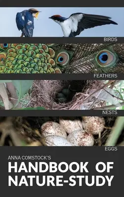 Manualul de studiu al naturii în culori - Păsări - The Handbook Of Nature Study in Color - Birds