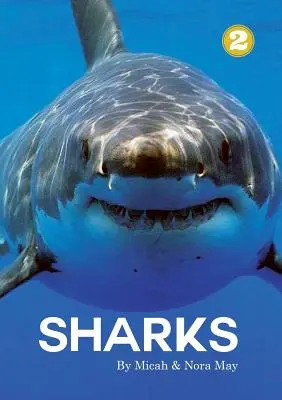 Rechini - Sharks