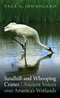 Sandhill și Whooping Cranes: Voci străvechi deasupra zonelor umede ale Americii - Sandhill and Whooping Cranes: Ancient Voices Over America's Wetlands