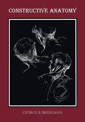Constructive Anatomy (Complet ilustrat) - Constructive Anatomy (Fully Illustrated)
