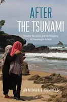 După tsunami: Narațiunile dezastrelor și refacerea vieții cotidiene în Aceh - After the Tsunami: Disaster Narratives and the Remaking of Everyday Life in Aceh