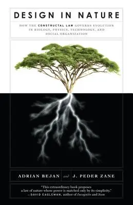 Design în natură: Cum guvernează legea construcției evoluția în biologie, fizică, tehnologie și organizații sociale (How the Constructal Law Governs Evolution in Biology, Physics, Technology, and Social Organizations) - Design in Nature: How the Constructal Law Governs Evolution in Biology, Physics, Technology, and Social Organizations