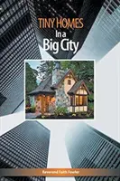 Case mici într-un oraș mare - Tiny Homes In a Big City
