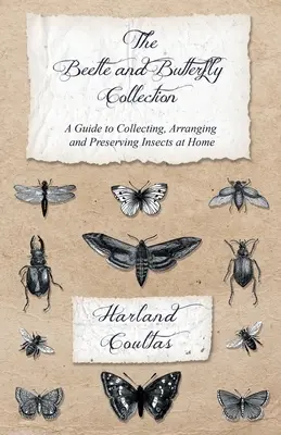 Colecția de gândaci și fluturi - Un ghid pentru colectarea, aranjarea și conservarea insectelor la domiciliu - The Beetle and Butterfly Collection - A Guide to Collecting, Arranging and Preserving Insects at Home