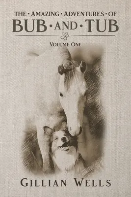 Aventurile lui Bub & Tub: Volumul unu - The Adventures of Bub & Tub: Volume One