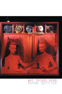 De ce ard lucrurile - Why Things Burn
