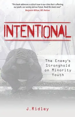 Intențional: Stăpânirea inamicului asupra tinerilor minoritari - Intentional: The Enemy's Stronghold on Minority Youth