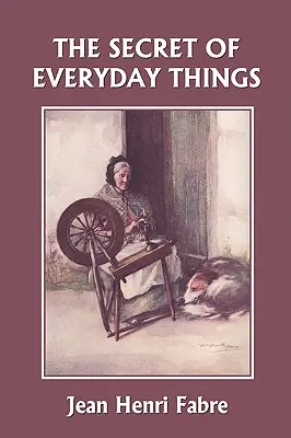 Secretul lucrurilor de zi cu zi (Clasici de ieri) - The Secret of Everyday Things (Yesterday's Classics)