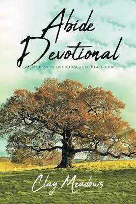 Devoțional Abide: 40 de zile către o libertate nemărginită în Hristos - Abide Devotional: 40 Days to Abounding Freedom in Christ