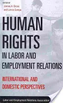 Drepturile omului în relațiile de muncă și de angajare: Perspective internaționale și naționale - Human Rights in Labor and Employment Relations: International and Domestic Perspectives