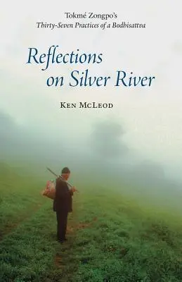 Reflecții asupra râului Silver - Reflections on Silver River