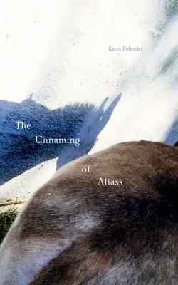 Nenumirea lui Aliass - The Unnaming of Aliass