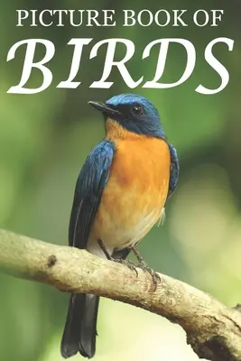 Carte ilustrată de păsări: Pentru seniori cu demență [Cărți ilustrate colorate] - Picture Book of Birds: For Seniors with Dementia [Colorful Picture Books]