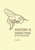 Anatomia și disecția albinei melifere - Anatomy and Dissection of the Honeybee
