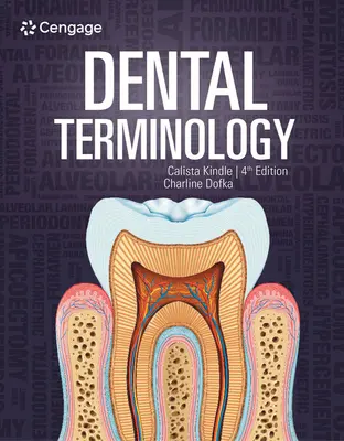 Terminologie dentară - Dental Terminology