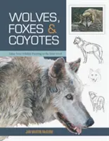 Lupi, vulpi și coioți (Bazele picturii cu animale sălbatice) - Wolves, Foxes & Coyotes (Wildlife Painting Basics)