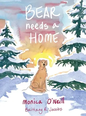 Ursul are nevoie de o casă - Bear Needs A Home