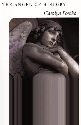 Îngerul istoriei - The Angel of History