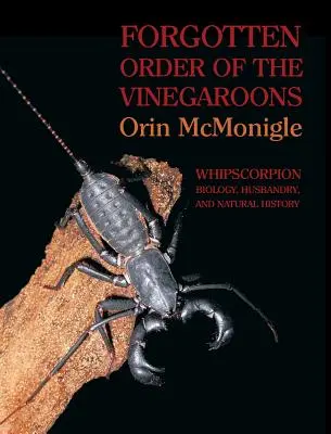 Ordinul uitat al Vinegaroanelor: Biologia, creșterea și istoria naturală a whipscorpionilor - Forgotten Order of the Vinegaroons: Whipscorpion Biology, Husbandry, and Natural History