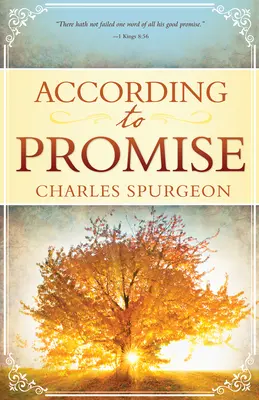 Conform promisiunii - According to Promise