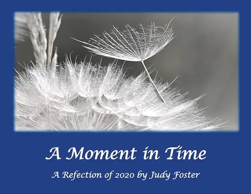Un moment în timp: o reflecție asupra anului 2020 - A Moment in Time: A Reflection of 2020