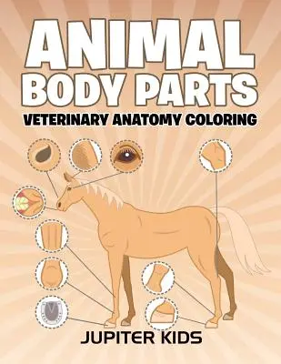 Părțile corpului animalelor: Anatomie veterinară de colorat - Animal Body Parts: Veterinary Anatomy Coloring