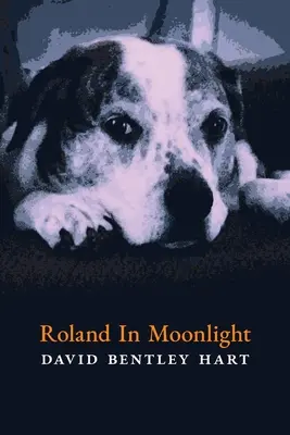 Roland în lumina lunii - Roland in Moonlight