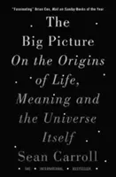 Big Picture - Despre originile vieții, ale sensului și ale Universului însuși - Big Picture - On the Origins of Life, Meaning, and the Universe Itself