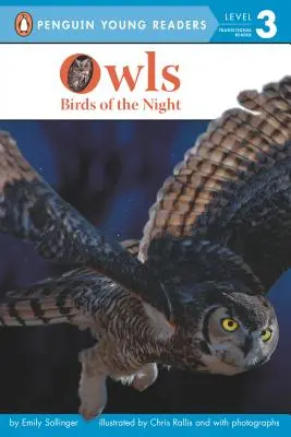 Bufnițe: păsări ale nopții - Owls: Birds of the Night