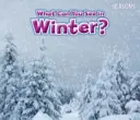 Ce puteți vedea iarna? - What Can You See In Winter?