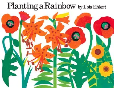 Plantarea unui curcubeu - Planting a Rainbow