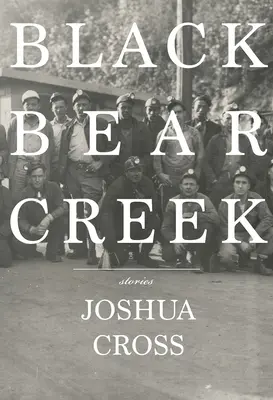 Pârâul Ursului Negru - Black Bear Creek