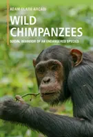 Wild Chimpanzees: Social Behavior of an Endangered Species: Comportamentul social al unei specii pe cale de dispariție - Wild Chimpanzees: Social Behavior of an Endangered Species