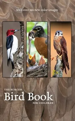 The Burgess Bird Book cu noi imagini color - The Burgess Bird Book with new color images