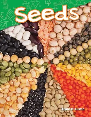 Semințe - Seeds