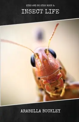 Viața insectelor - Insect Life
