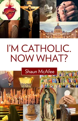 Sunt catolic. Și acum ce? - I'm Catholic. Now What?