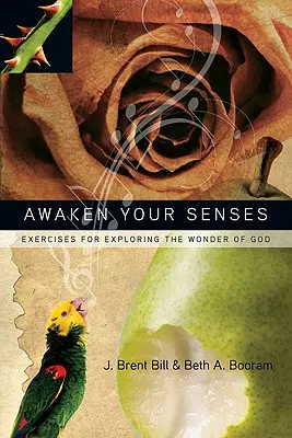 Trezește-ți simțurile: Exerciții pentru explorarea minunii lui Dumnezeu - Awaken Your Senses: Exercises for Exploring the Wonder of God