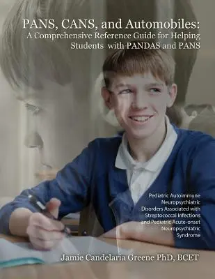 Panseluțe, cutii de conserve și automobile: Un ghid de referință cuprinzător pentru ajutorarea elevilor cu pandantive și cratițe - Pans, Cans, and Automobiles: A Comprehensive Reference Guide for Helping Students with Pandas and Pans