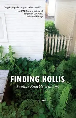Găsirea lui Hollis - Finding Hollis