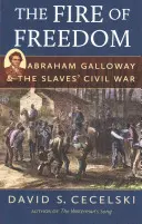 Focul libertății: Abraham Galloway și războiul civil al sclavilor - The Fire of Freedom: Abraham Galloway and the Slaves' Civil War