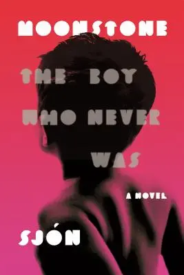 Piatra Lunii: The Boy Who Never Was: Un roman - Moonstone: The Boy Who Never Was: A Novel