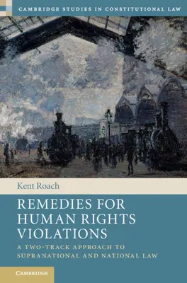 Remedii pentru încălcările drepturilor omului - Remedies for Human Rights Violations