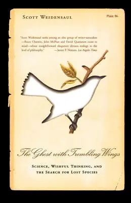 Fantoma cu aripi tremurânde - The Ghost with Trembling Wings
