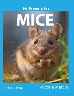 Animalul meu preferat: Șoareci - My Favorite Pet: Mice